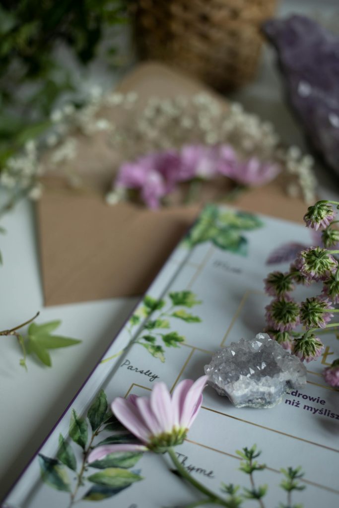 pexels-gabby-k-20419191