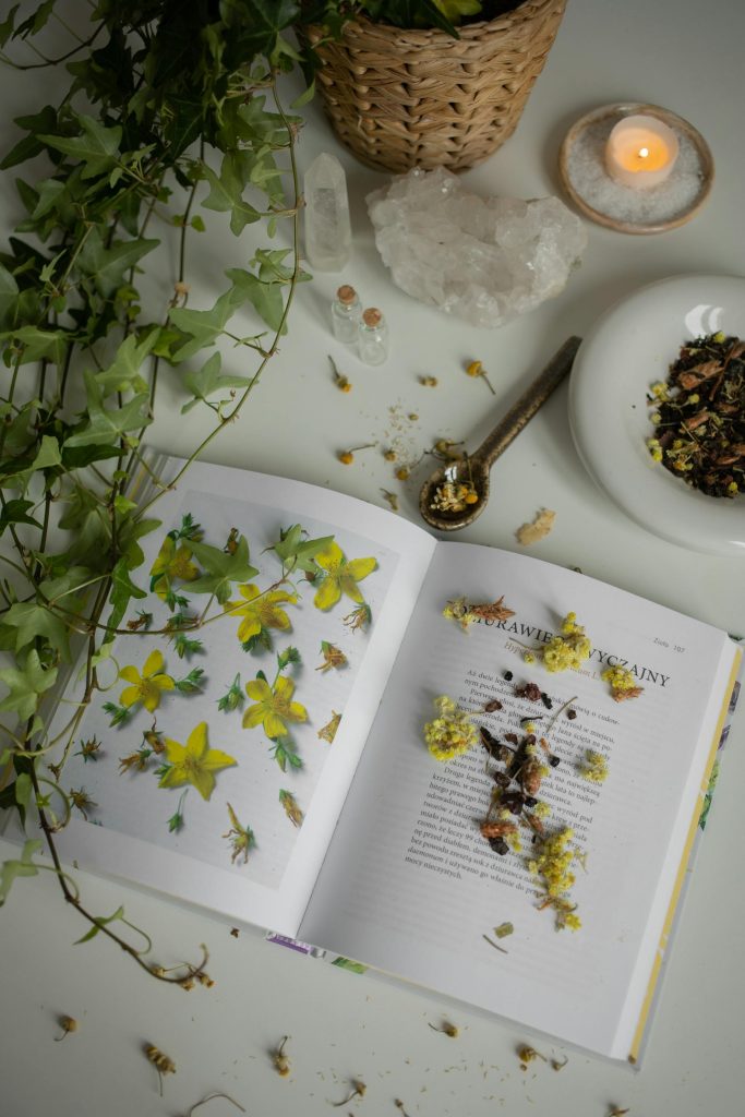 pexels-gabby-k-20419202