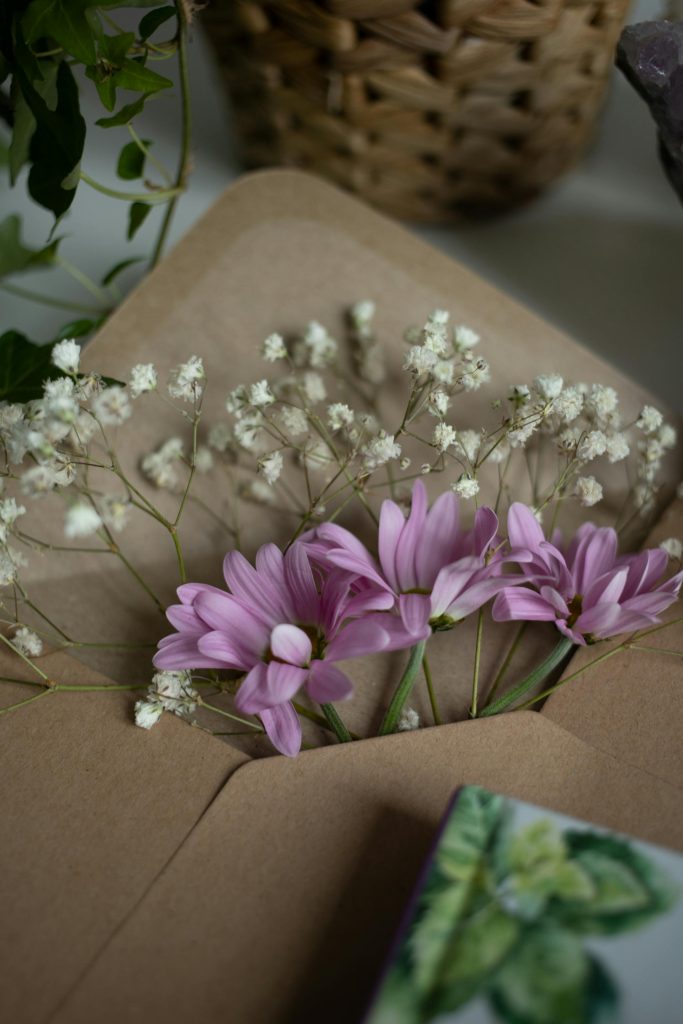 pexels-gabby-k-20419208