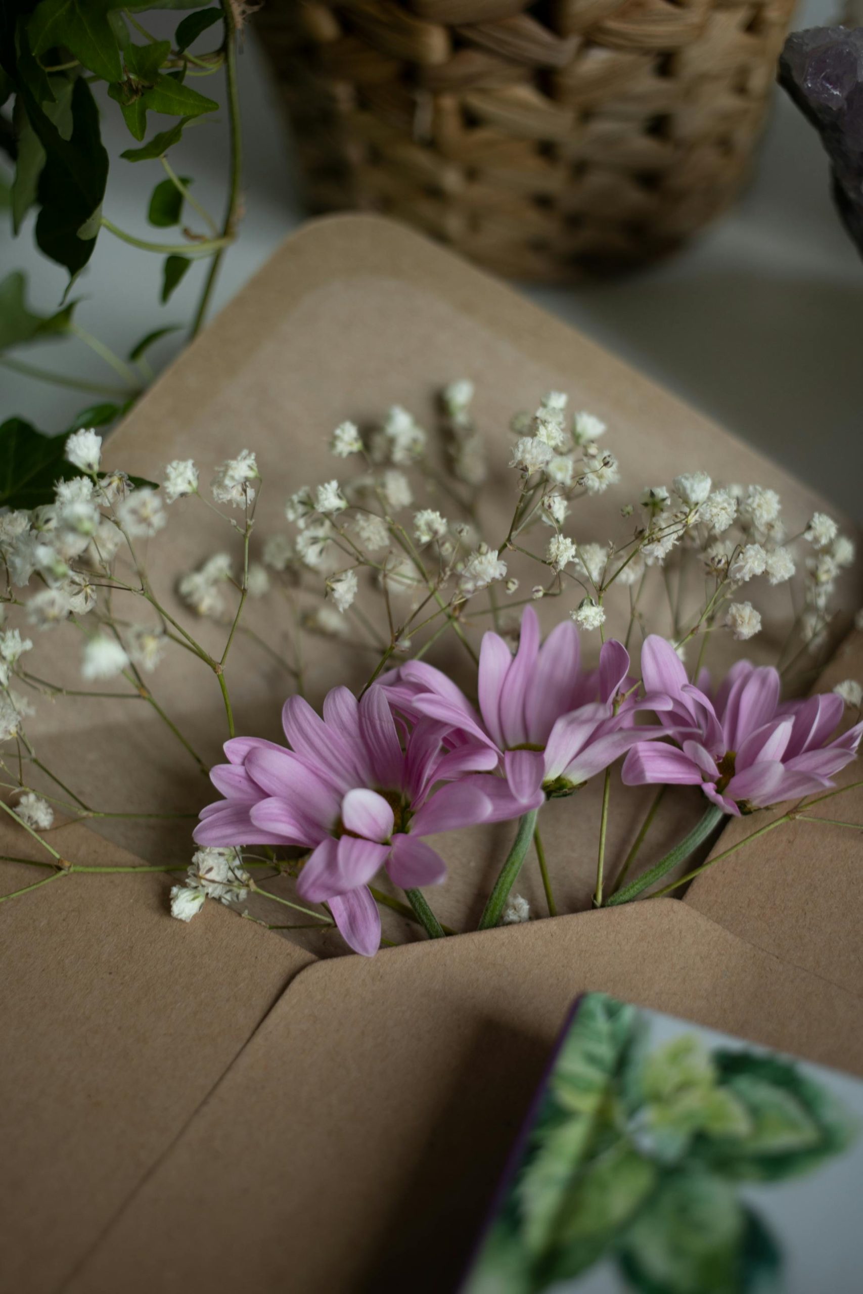 pexels-gabby-k-20419208